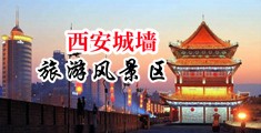 女的逼骚逼视频中国陕西-西安城墙旅游风景区